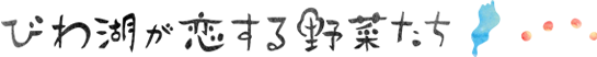 びわ湖が恋する野菜たち