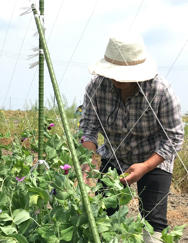 小林 めぐみさん