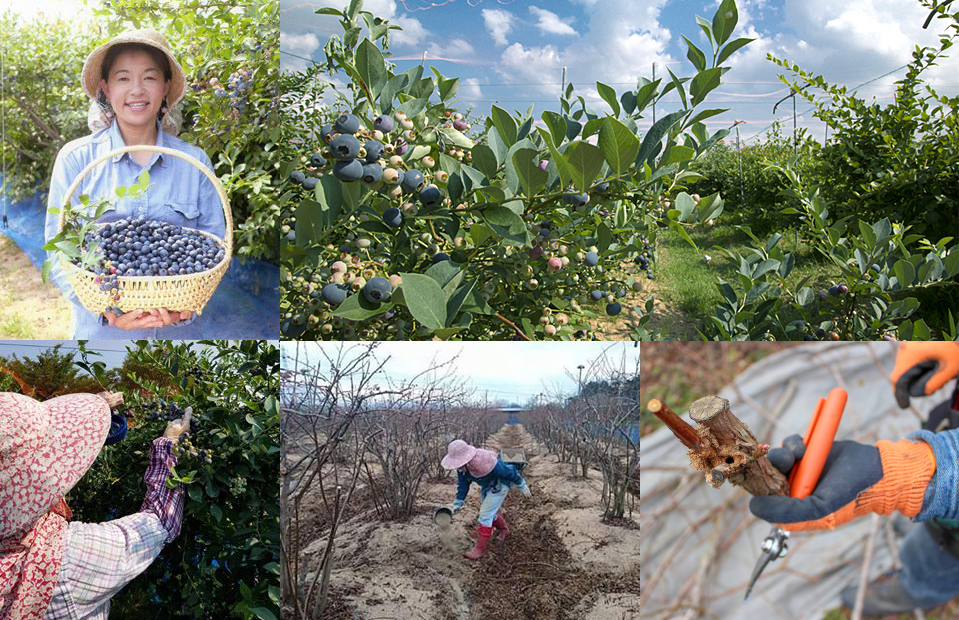 小林 めぐみさん