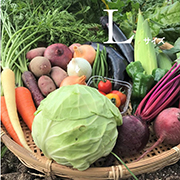 野菜ボックスLサイズ【プレミアム】